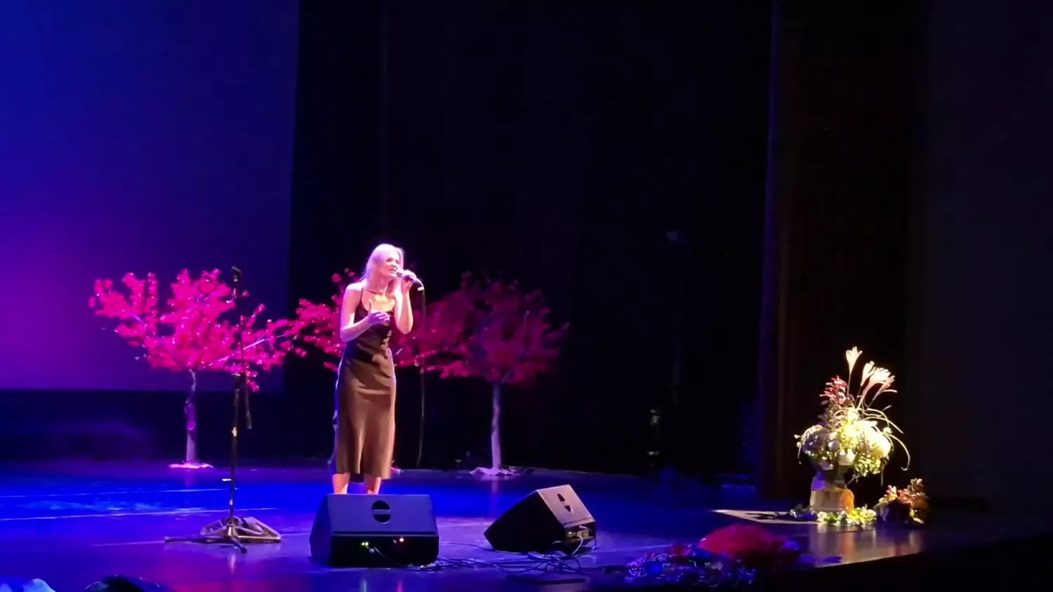 Daria Englot "Dobranoc panowie"