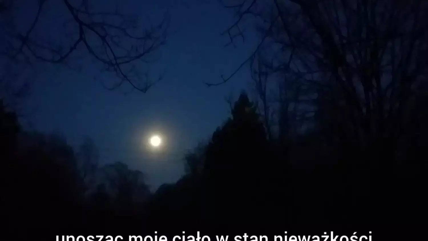 Noc w ogrodzie